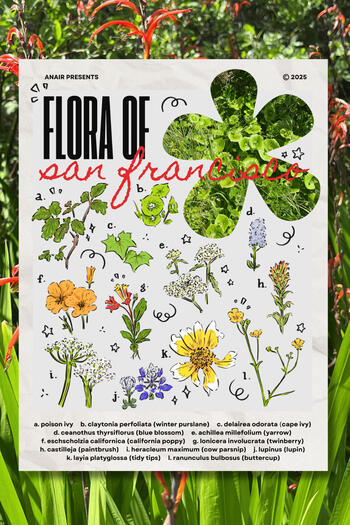 sf flora print
