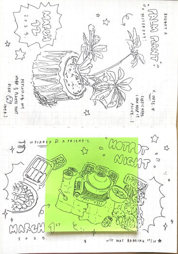palm plant + hotpot night